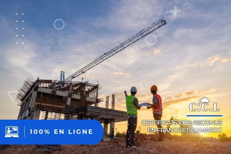 Conception Avancée de Structures avec Robot Structural Analysis et Tekla Structures