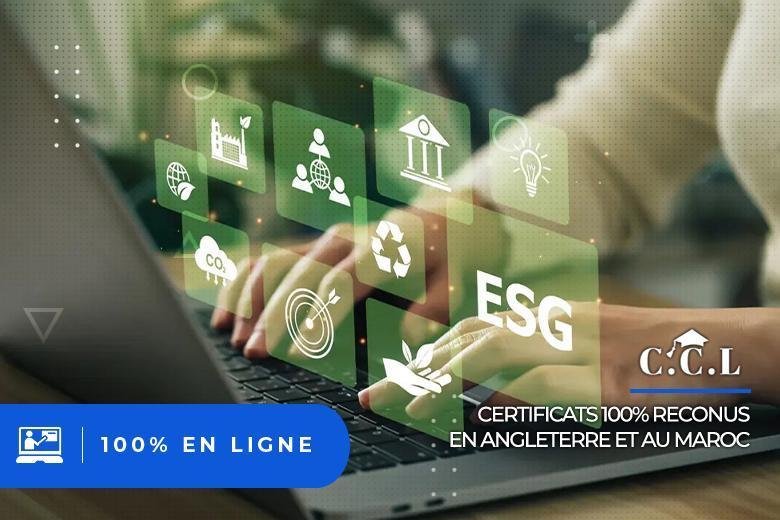 Finance Verte : Maîtriser les Enjeux de la Finance Durable et des Investissements ESG